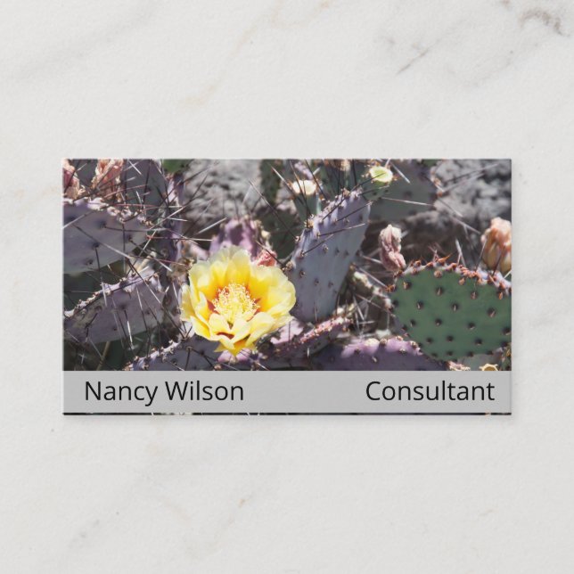 Yellow cactus flower in spring business card (Front)