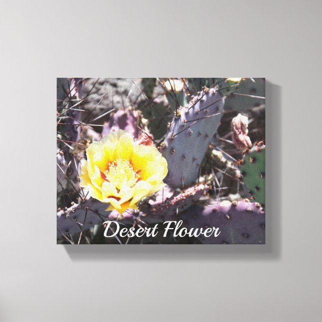 Yellow cactus flower in spring canvas print (Front)