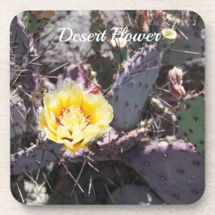 Yellow cactus flower in spring coaster