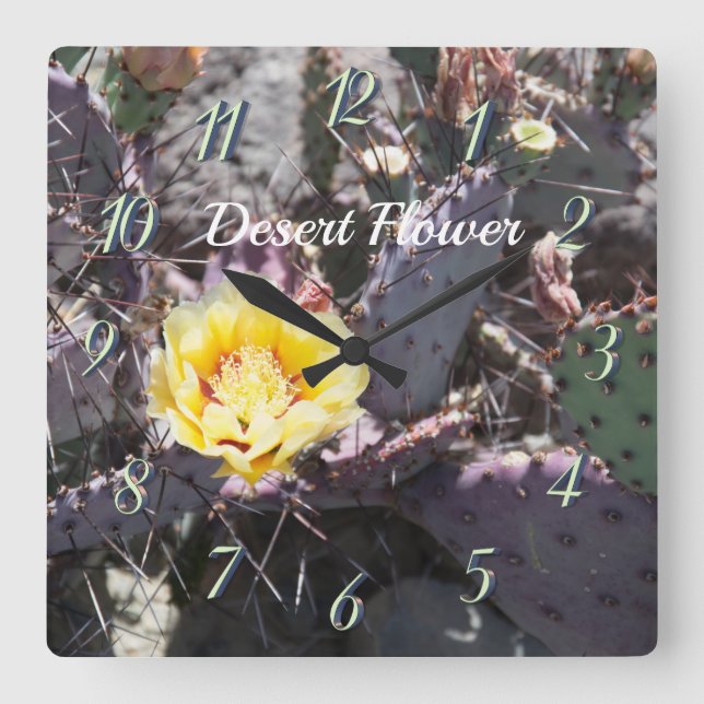 Yellow cactus flower in spring square wall clock (Front)