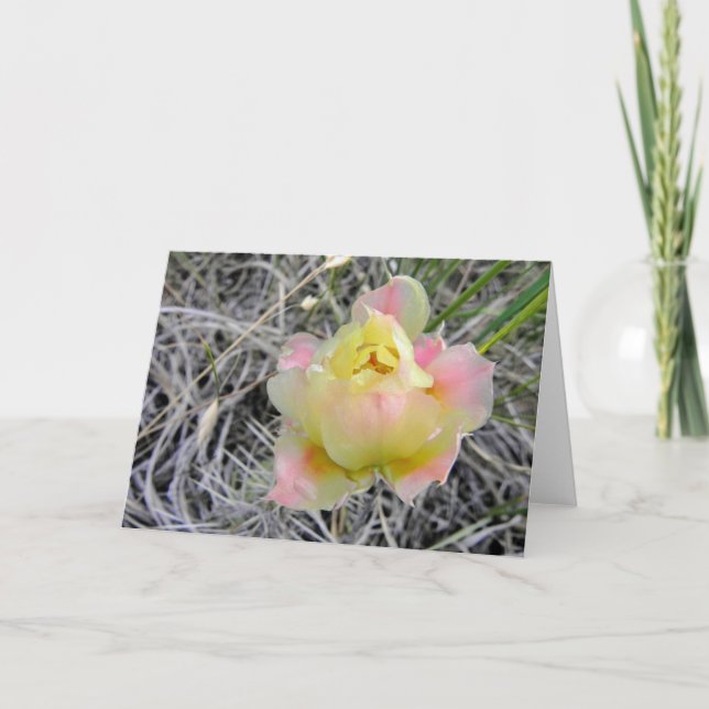 Yellow Cactus Flower Note Card (Front)