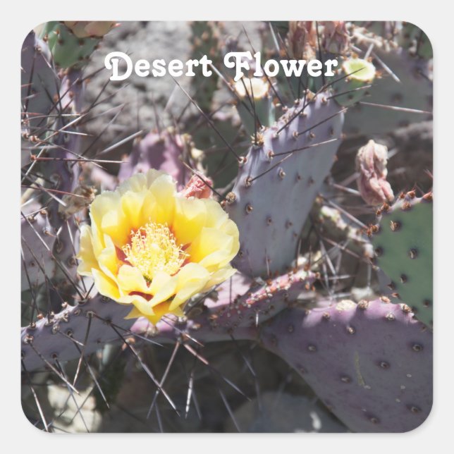 Yellow cactus flower square sticker (Front)