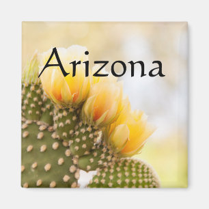 Yellow cactus flowers as they bloom, Arizona Magnet