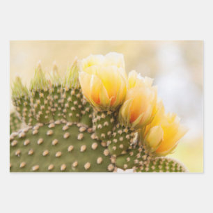 Yellow cactus flowers as they bloom in Arizona Wrapping Paper Sheet