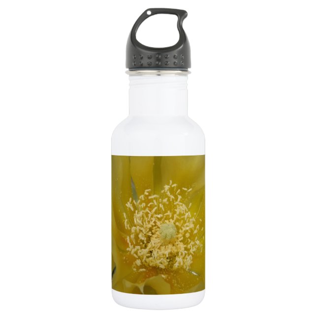 Yellow Cactus In Bloom 532 Ml Water Bottle (Front)