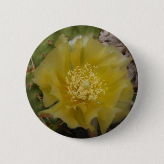 Yellow Cactus In Bloom 6 Cm Round Badge