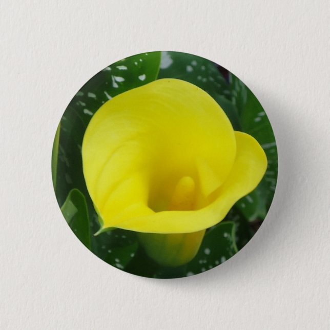 Yellow Calla Button (Front)