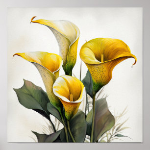 Yellow Calla Lilies Lily Flower Art Print Poster