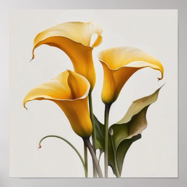 Yellow Calla Lilies Lily Flower Art Print Poster (Front)