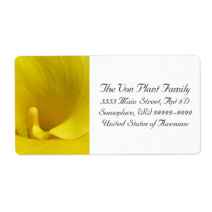 Yellow Calla Lily Flower