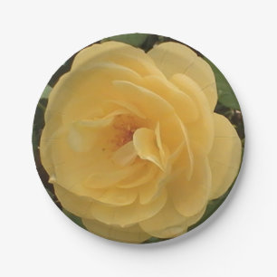 Yellow camellia paper plates