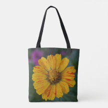 Yellow Candy Striped Zinnia