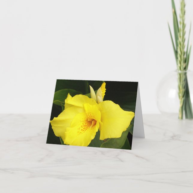 Yellow Canna Card (Front)