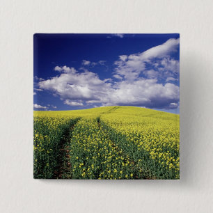 Yellow canola in Whitman County Washington state 15 Cm Square Badge