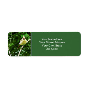 Yellow Cardinal Bird Photo  Return AddressLabel