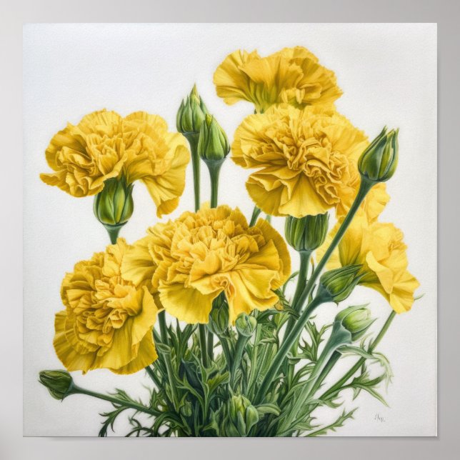 Yellow Carnations Flower Art Print Poster (Front)