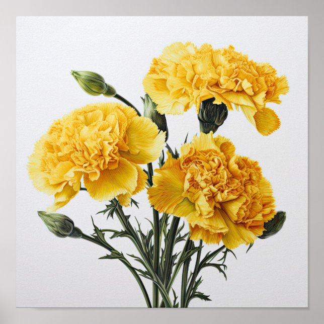 Yellow Carnations Flower Art Print Poster (Front)