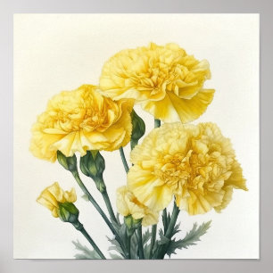 Yellow Carnations Flower Art Print Poster