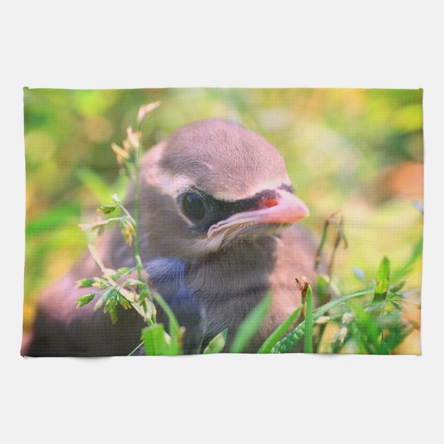 Yellow Cedar Waxwing Fledgling Bird   Tea Towel (Horizontal)