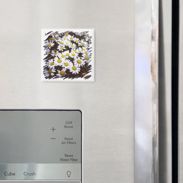 Yellow Centre White Shasta Daisies Photograph Magnet (In Situ (Fridge))