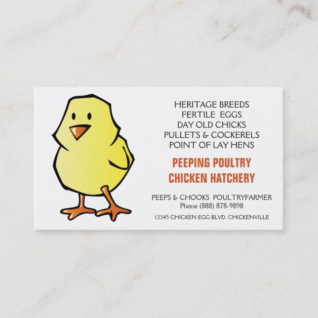 Yellow Chick Chicken Hatchery Business Card (Front)