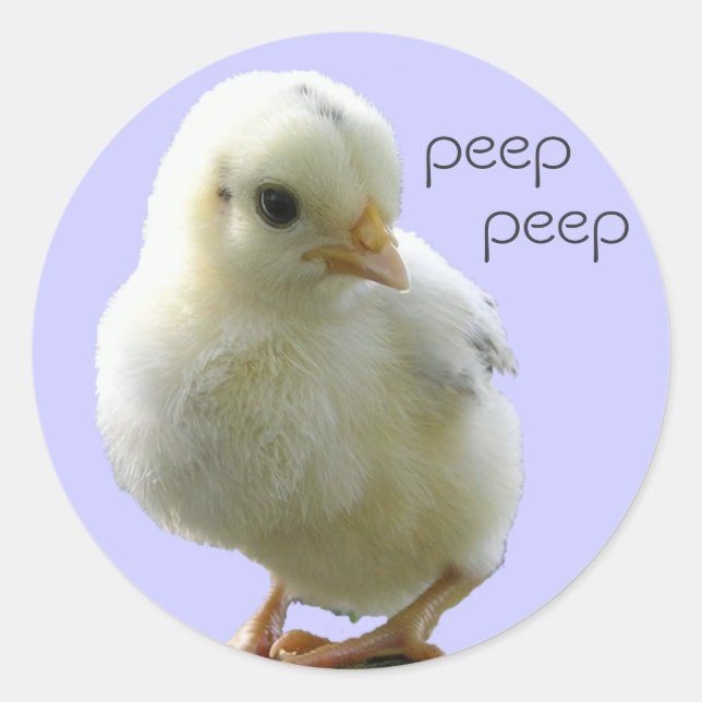 Yellow Chick Stickers (Front)