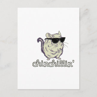 Yellow Chinchillin Chinchilla Postcard