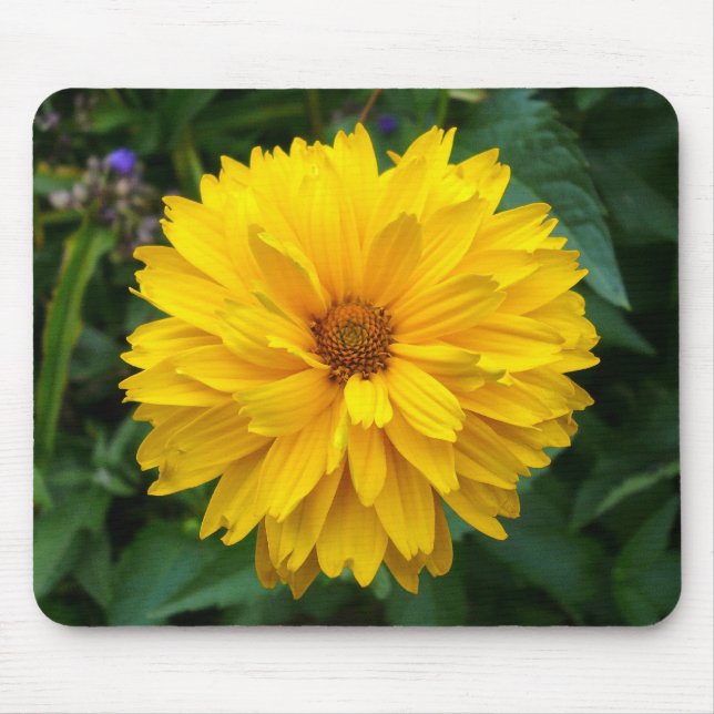 Yellow Chrysanthemum Mouse Mat (Front)