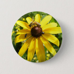 Yellow Coneflower Button