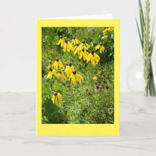 Yellow Coneflower II Blank Note Card