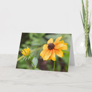 Yellow Coneflower Note  Card