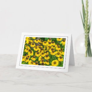 Yellow coneflowers greeting card