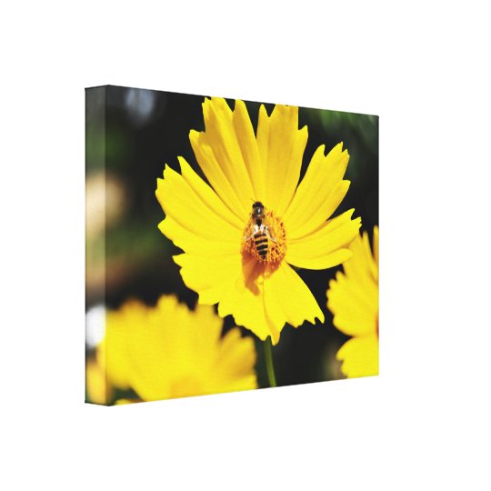 Yellow Cosmos Flower and Bee Canvas Print Zazzle.co.uk