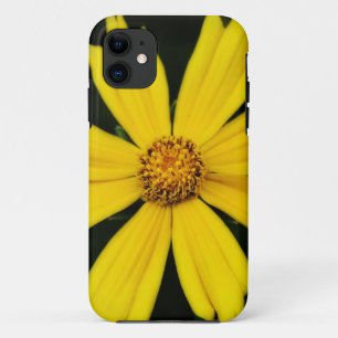 Yellow Cosmos Flower Close-up iPhone 11 Case