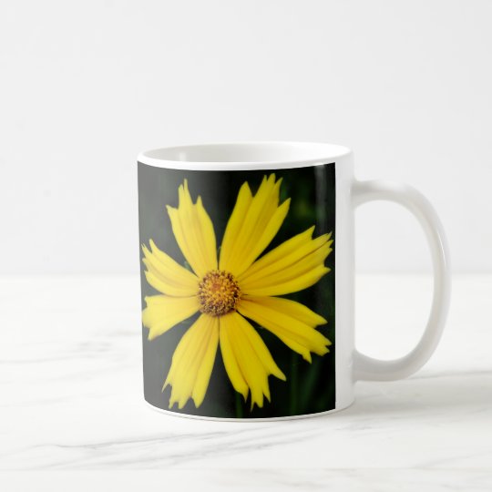 Yellow Cosmos Flower Close-up Coffee Mug