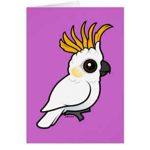 Yellow-crested Cockatoo (crest up)