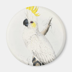 Yellow Crested Cockatoo Magnet