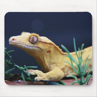 Yellow Crested Gecko Resting Mouse Mat