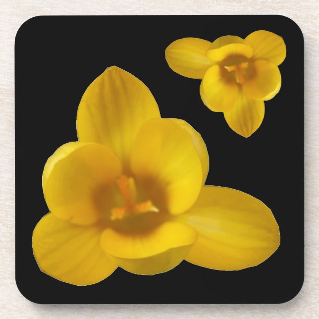 Yellow Crocus Cork Coaster (Front)