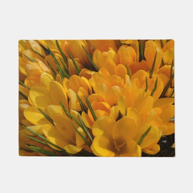 Yellow Crocus flavus - Golden Yellow Flowers  Doormat (Front)
