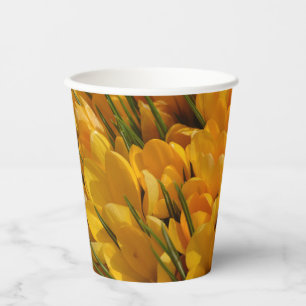 Yellow Crocus flavus - Golden Yellow Flowers Paper Cups