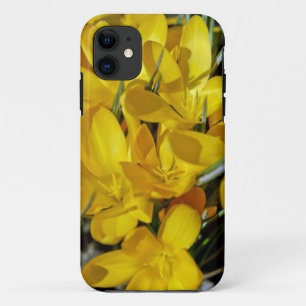 Yellow Crocus Flowers iPhone 11 Case