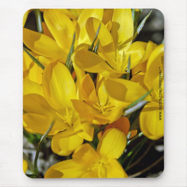 Yellow Crocus Flowers Mouse Mat (Front)