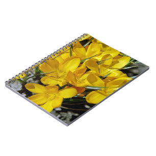 Yellow Crocus Flowers Notebook