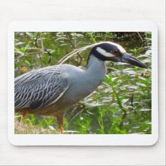 Yellow Crown Night Heron Mouse Mat