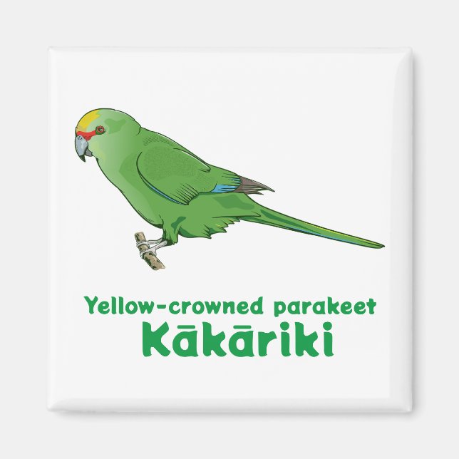 Yellow Crowned Kakariki Magnet (Front)