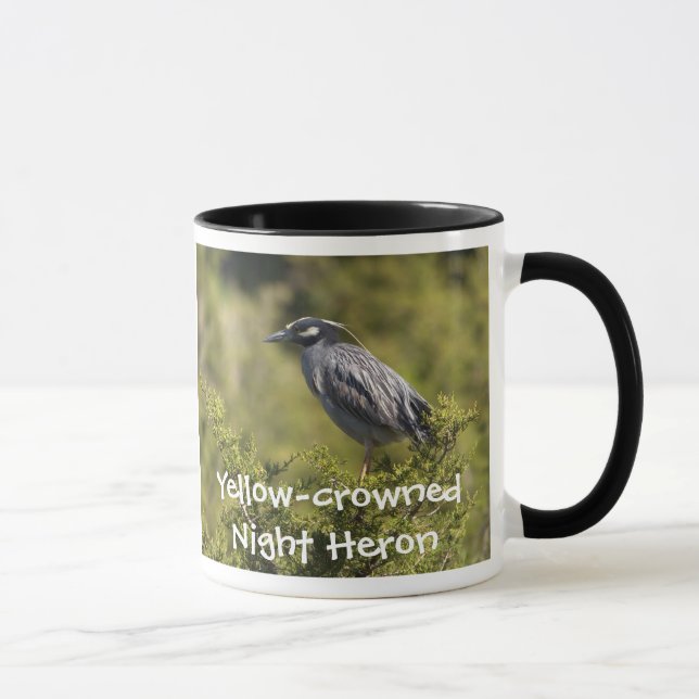 Yellow-crowned Night Heron Mug (Right)
