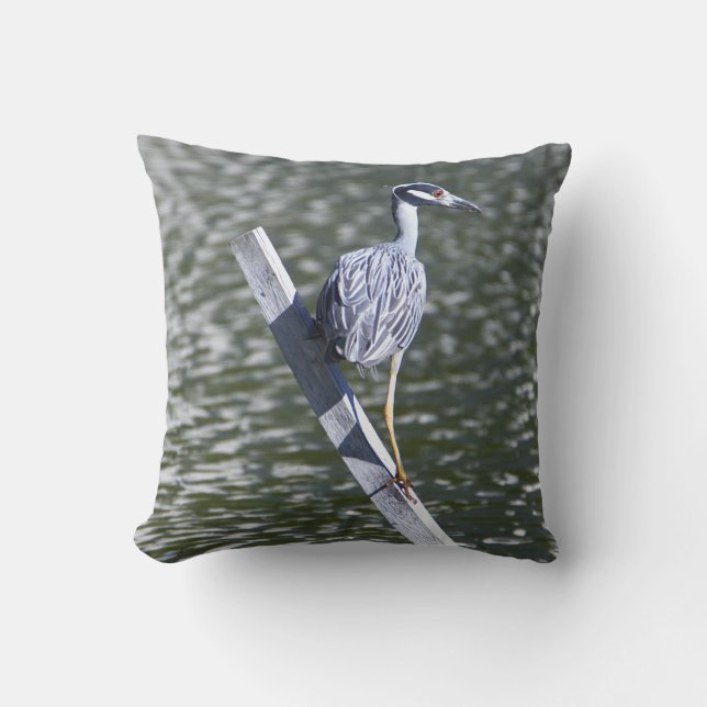 Yellow-crowned Night Heron Pillow  (Front)
