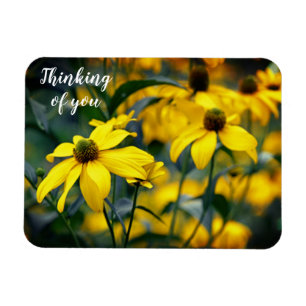 Yellow Cut Leaf Coneflower Thinking of you Magnet