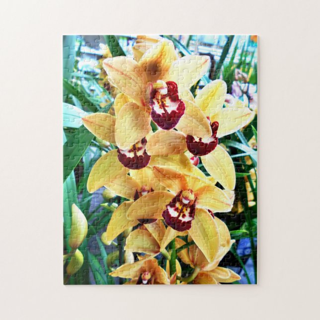 Yellow Cymbidium Orchids Jigsaw Puzzle (Vertical)